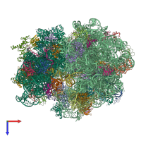 PDB entry 4v6l coloured by chain, top view.