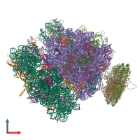 Hetero 60-meric assembly 1 of PDB entry 4v6m coloured by chemically distinct molecules, front view.