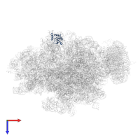 Small ribosomal subunit protein bS6 in PDB entry 4v6m, assembly 1, top view.