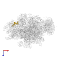Small ribosomal subunit protein uS7 in PDB entry 4v6m, assembly 1, top view.