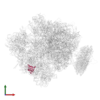 Small ribosomal subunit protein uS8 in PDB entry 4v6m, assembly 1, front view.