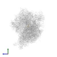 Small ribosomal subunit protein uS10 in PDB entry 4v6m, assembly 1, side view.