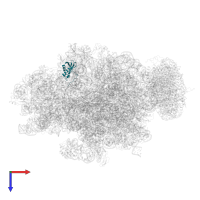 Small ribosomal subunit protein uS11 in PDB entry 4v6m, assembly 1, top view.