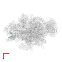 Small ribosomal subunit protein uS14 in PDB entry 4v6m, assembly 1, top view.