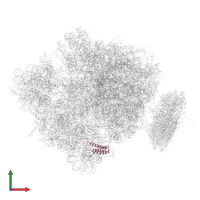 Small ribosomal subunit protein bS20 in PDB entry 4v6m, assembly 1, front view.