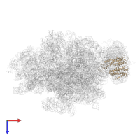 Preprotein translocase secY subunit in PDB entry 4v6m, assembly 1, top view.