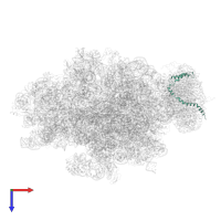 Preprotein translocase secE subunit in PDB entry 4v6m, assembly 1, top view.