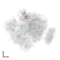 Large ribosomal subunit protein uL1 in PDB entry 4v6m, assembly 1, front view.