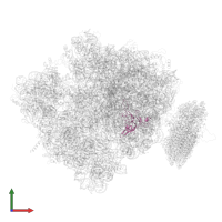 Large ribosomal subunit protein uL3 in PDB entry 4v6m, assembly 1, front view.