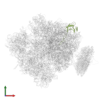 Large ribosomal subunit protein uL4 in PDB entry 4v6m, assembly 1, front view.