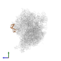 Large ribosomal subunit protein uL6 in PDB entry 4v6m, assembly 1, side view.