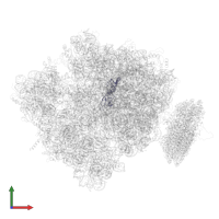 Large ribosomal subunit protein bL9 in PDB entry 4v6m, assembly 1, front view.