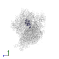 FtsQ nascent chain in PDB entry 4v6m, assembly 1, side view.