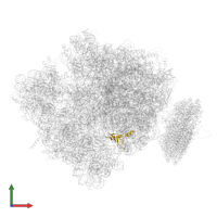 Large ribosomal subunit protein bL19 in PDB entry 4v6m, assembly 1, front view.