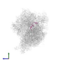 Large ribosomal subunit protein uL24 in PDB entry 4v6m, assembly 1, side view.