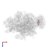 Large ribosomal subunit protein uL24 in PDB entry 4v6m, assembly 1, top view.