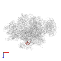 Large ribosomal subunit protein bL25 in PDB entry 4v6m, assembly 1, top view.