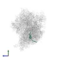 Small ribosomal subunit protein uS5 in PDB entry 4v6m, assembly 1, side view.