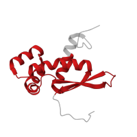 The deposited structure of PDB entry 4v6n contains 1 copy of Pfam domain PF01196 (Ribosomal protein L17) in Large ribosomal subunit protein bL17. Showing 1 copy in chain P [auth AP].