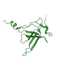 The deposited structure of PDB entry 4v6n contains 1 copy of Pfam domain PF01245 (Ribosomal protein L19) in Large ribosomal subunit protein bL19. Showing 1 copy in chain R [auth AR].