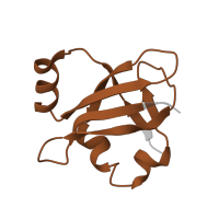 The deposited structure of PDB entry 4v6n contains 1 copy of Pfam domain PF01386 (Ribosomal L25p family) in Large ribosomal subunit protein bL25. Showing 1 copy in chain X [auth AX].