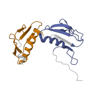 The deposited structure of PDB entry 4v6n contains 2 copies of Pfam domain PF00347 (Ribosomal protein L6) in Large ribosomal subunit protein uL6. Showing 2 copies in chain H [auth AH].