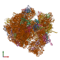 PDB entry 4v6n coloured by chain, front view.