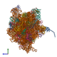 PDB entry 4v6n coloured by chain, side view.