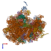 PDB entry 4v6n coloured by chain, top view.