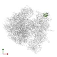 Small ribosomal subunit protein uS9 in PDB entry 4v6n, assembly 1, front view.