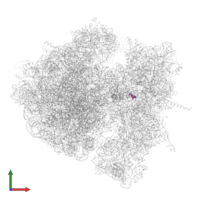 Modified residue 4OC in PDB entry 4v6n, assembly 1, front view.