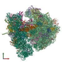 PDB entry 4v6o coloured by chain, front view.