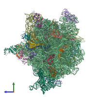 PDB entry 4v6o coloured by chain, side view.