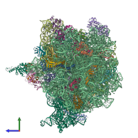 PDB entry 4v6p coloured by chain, side view.