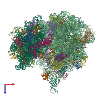 PDB entry 4v6p coloured by chain, top view.
