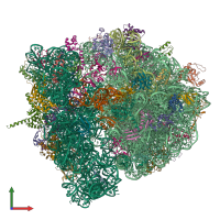 PDB entry 4v6q coloured by chain, front view.