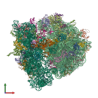 PDB entry 4v6r coloured by chain, front view.
