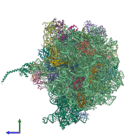 PDB entry 4v6r coloured by chain, side view.