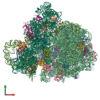 PDB entry 4v6t coloured by chain, front view.