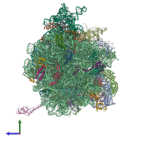 PDB entry 4v6t coloured by chain, side view.