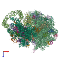 PDB entry 4v6t coloured by chain, top view.