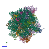 PDB entry 4v6u coloured by chain, side view.