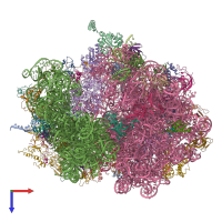 PDB entry 4v6v coloured by chain, top view.