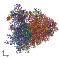 PDB entry 4v6w coloured by chain, front view.