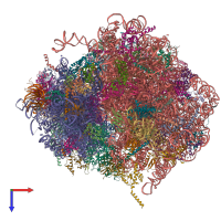 PDB entry 4v6w coloured by chain, top view.