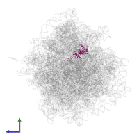 Large ribosomal subunit protein eL18 in PDB entry 4v6w, assembly 1, side view.