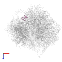 Large ribosomal subunit protein eL30 in PDB entry 4v6w, assembly 1, top view.