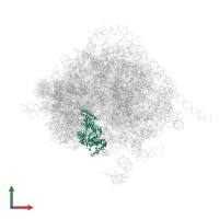 Elongation factor 2 in PDB entry 4v6x, assembly 1, front view.