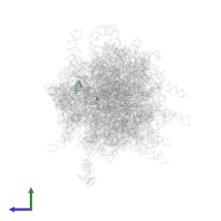 Large ribosomal subunit protein eL29 in PDB entry 4v6x, assembly 1, side view.
