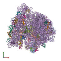 PDB entry 4v6y coloured by chain, front view.